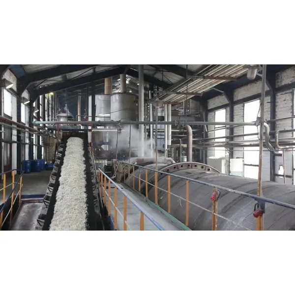 sugar plant from sugar beet