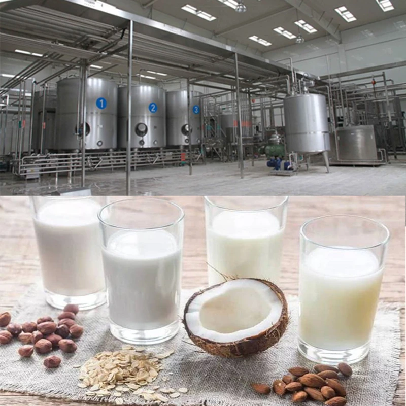 Ligne de production de lait de noix, machine à lait de soja, machine à lait  d