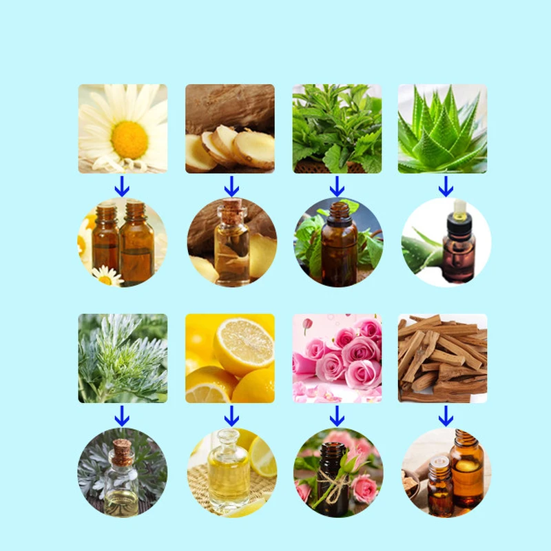 extractor de destilacion de aceites esenciales