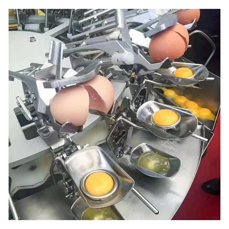 liquid egg processing line