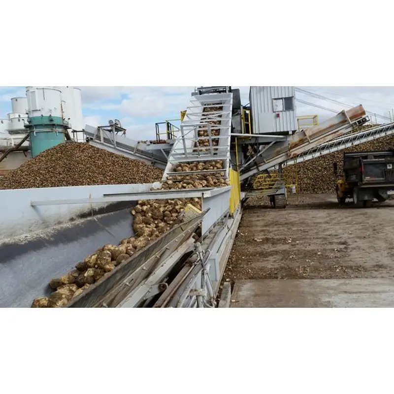 сахарный завод из сахарной свеклы