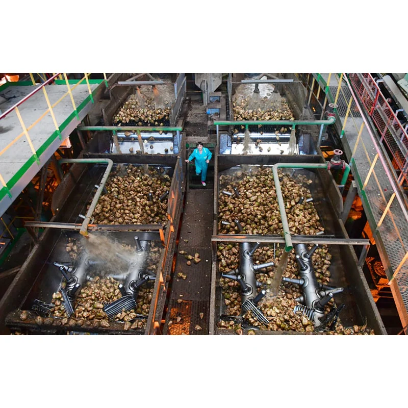 сахарный завод из сахарной свеклы