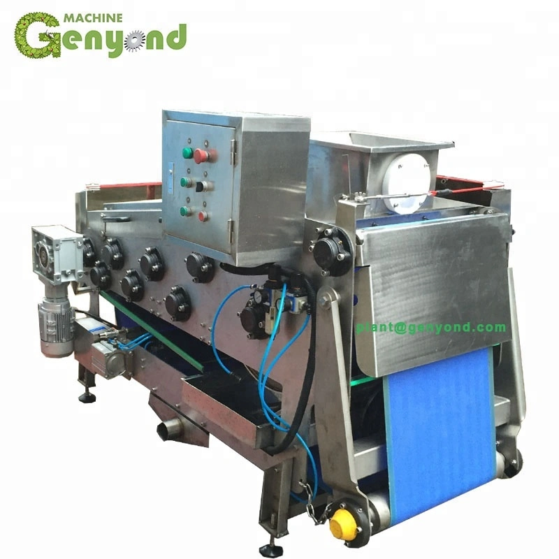 small fruit belt juicer press machine