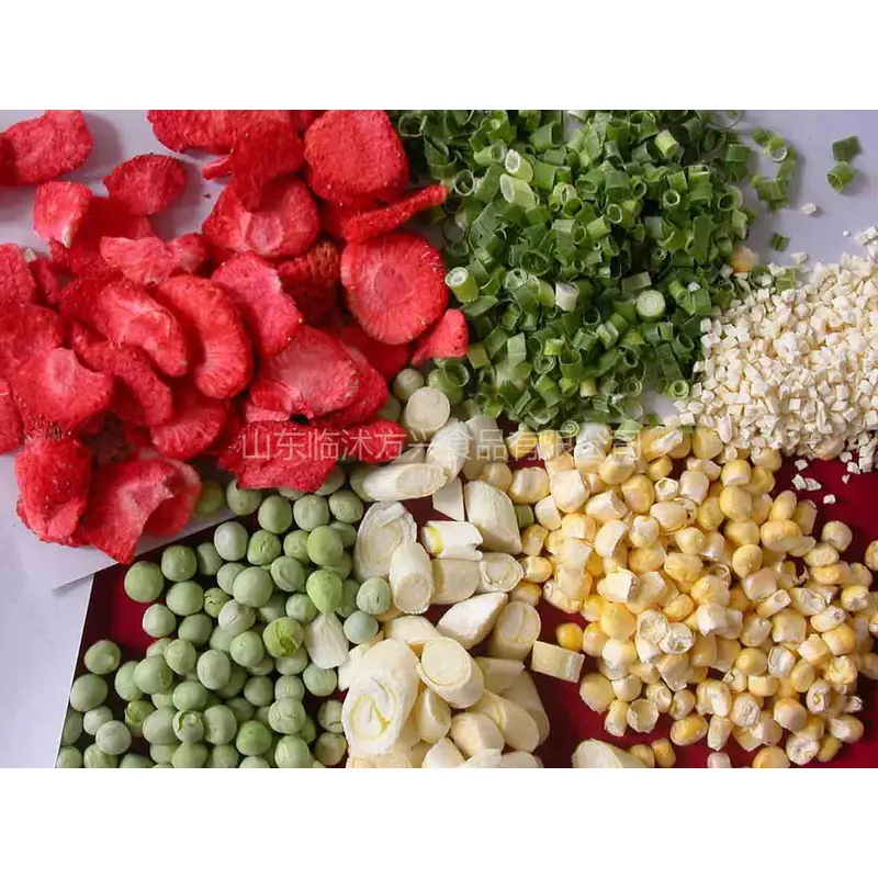 freezing drying machine,vacuum freezing dryer,industrial drying unit