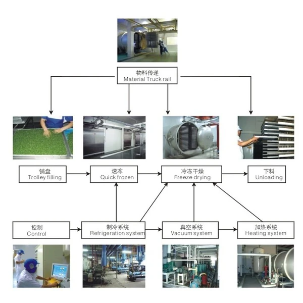 freezing drying machine,vacuum freezing dryer,industrial drying unit