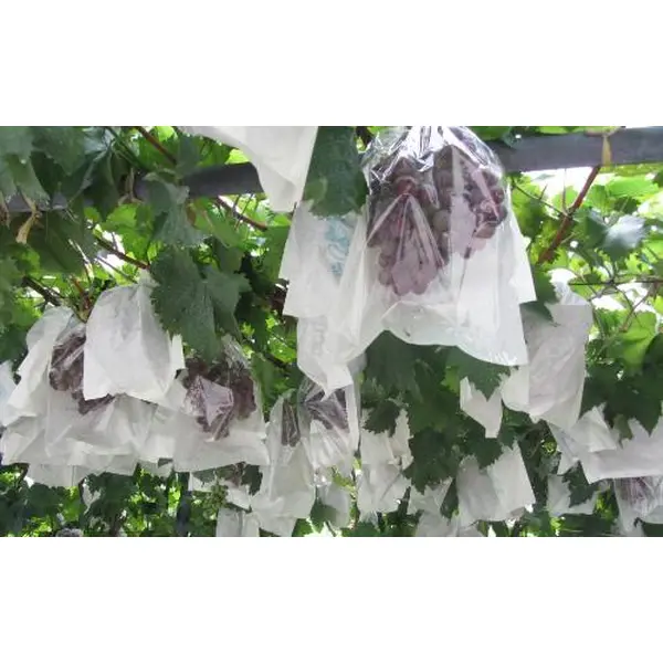 Non woven fabric, meltblown, non woven fabric for face mask, coated non woven fabric for protective clothing, non woven fabric for isolation gown, non woven fabric for medical,  SMS,SSMMS, SS & SSS, non woven fabric, fabric for medical, Fabric for isolation gown, fabric for protective clothing, spun bond non woven, PP non woven, etc.