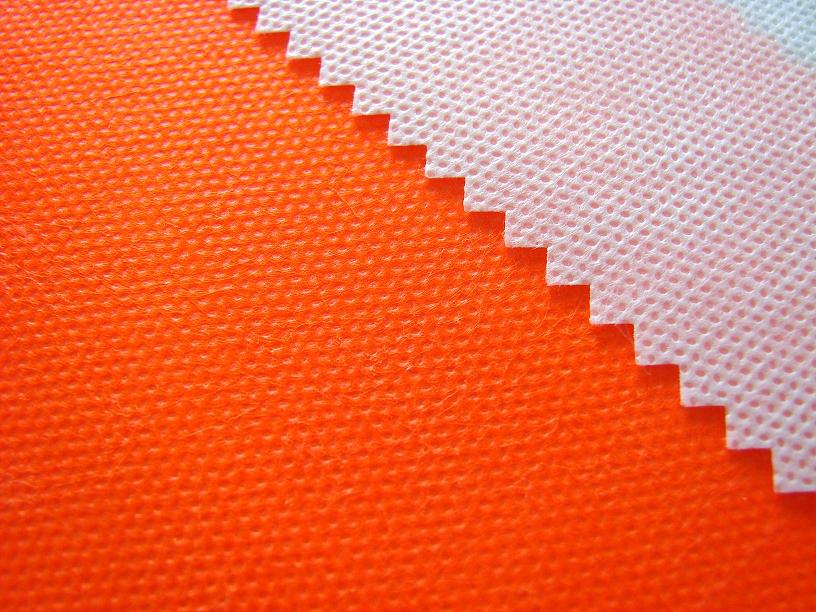 PET non woven 1