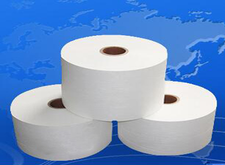 PET non woven 5