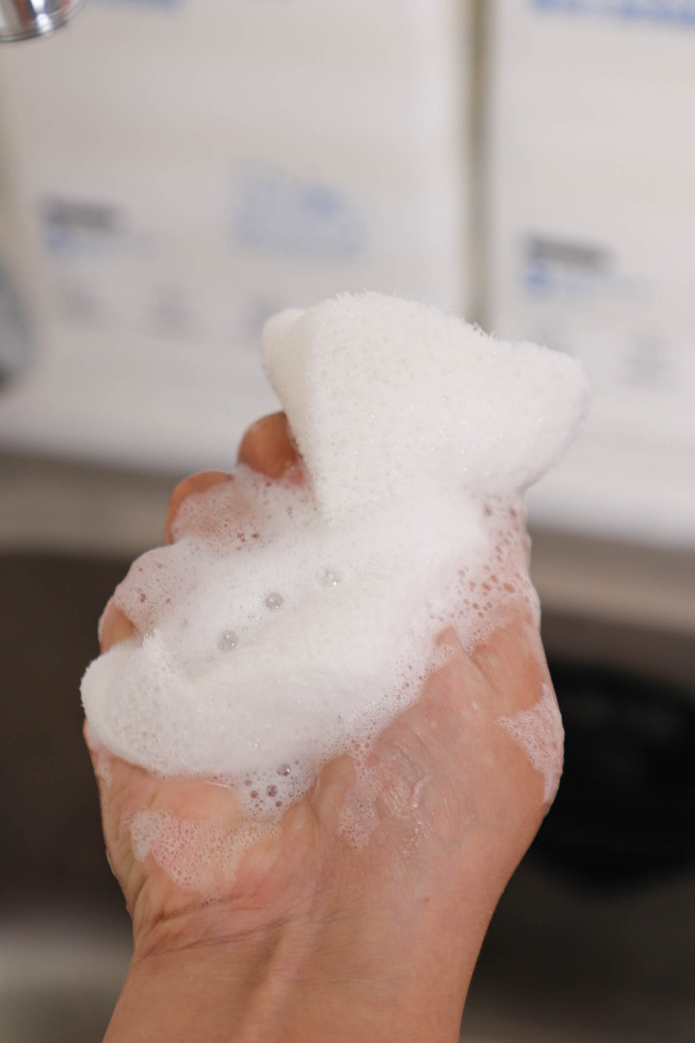 Three Layers Of Dish Brushes 