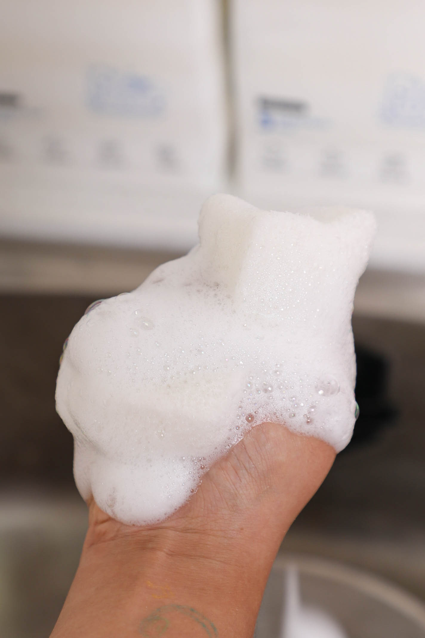 Three Layers Of Dish Brushes 