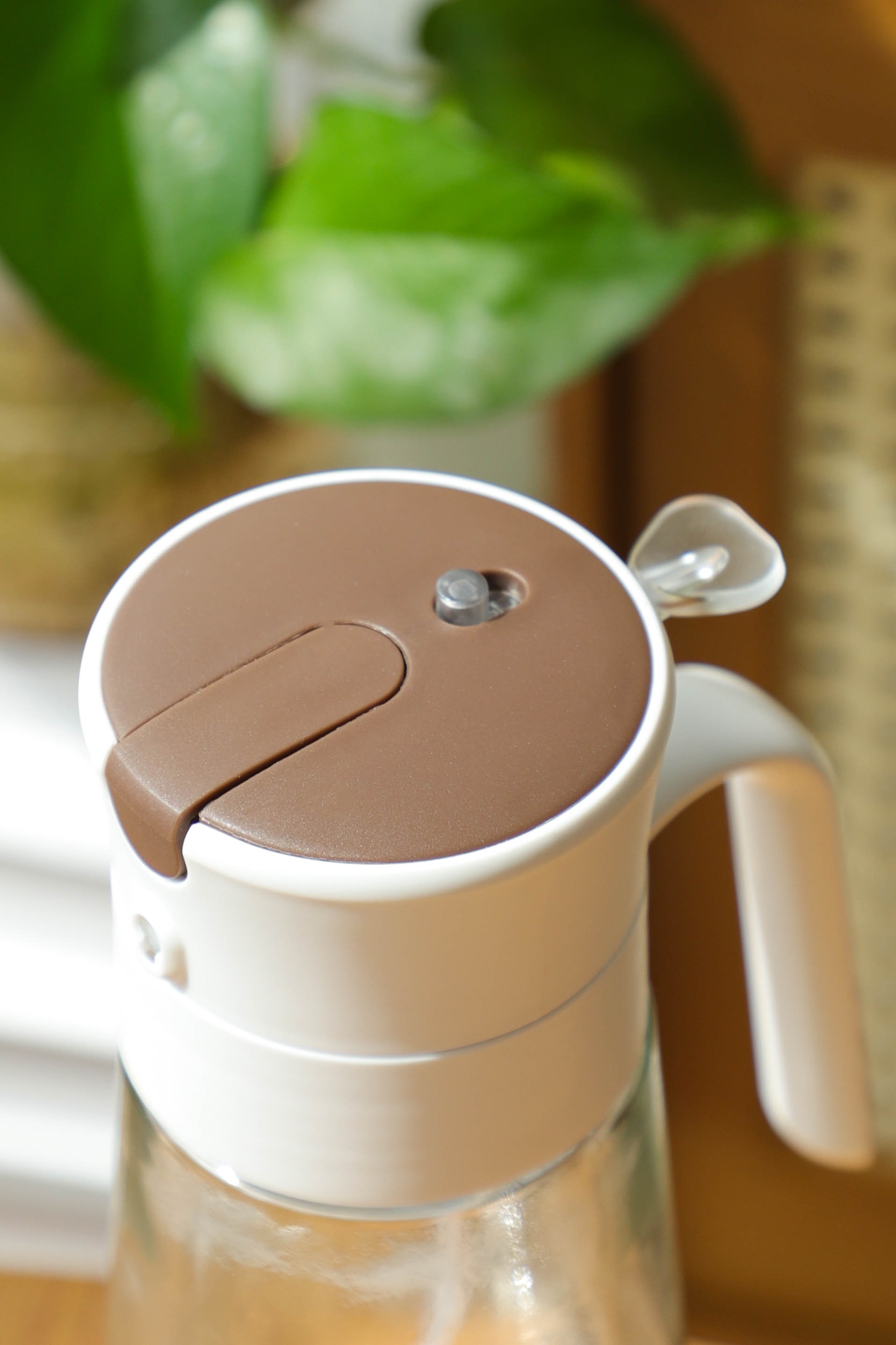 2-In-1 Oil Dispenser&Spray Bottle 