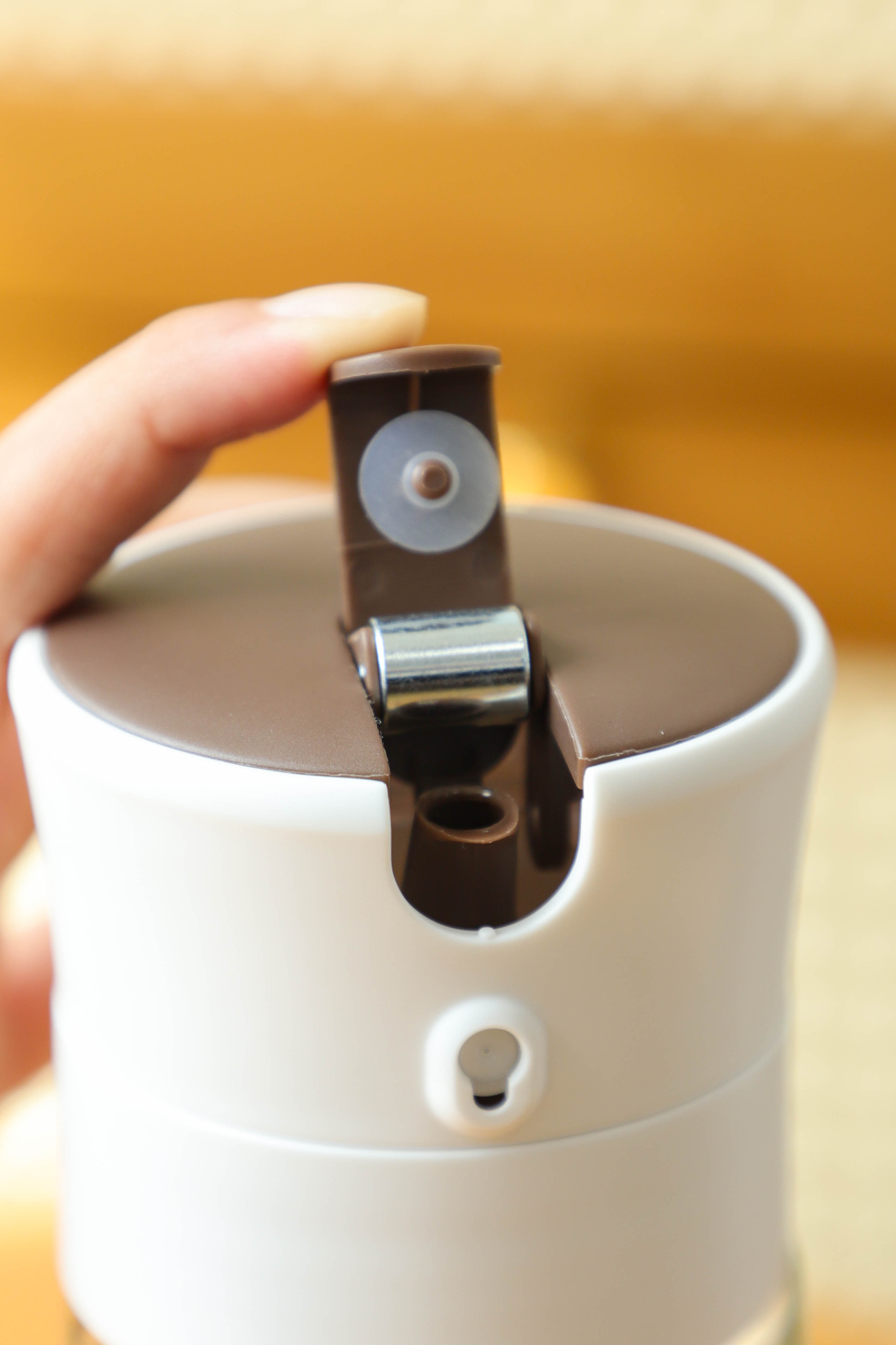 2-In-1 Oil Dispenser&Spray Bottle 