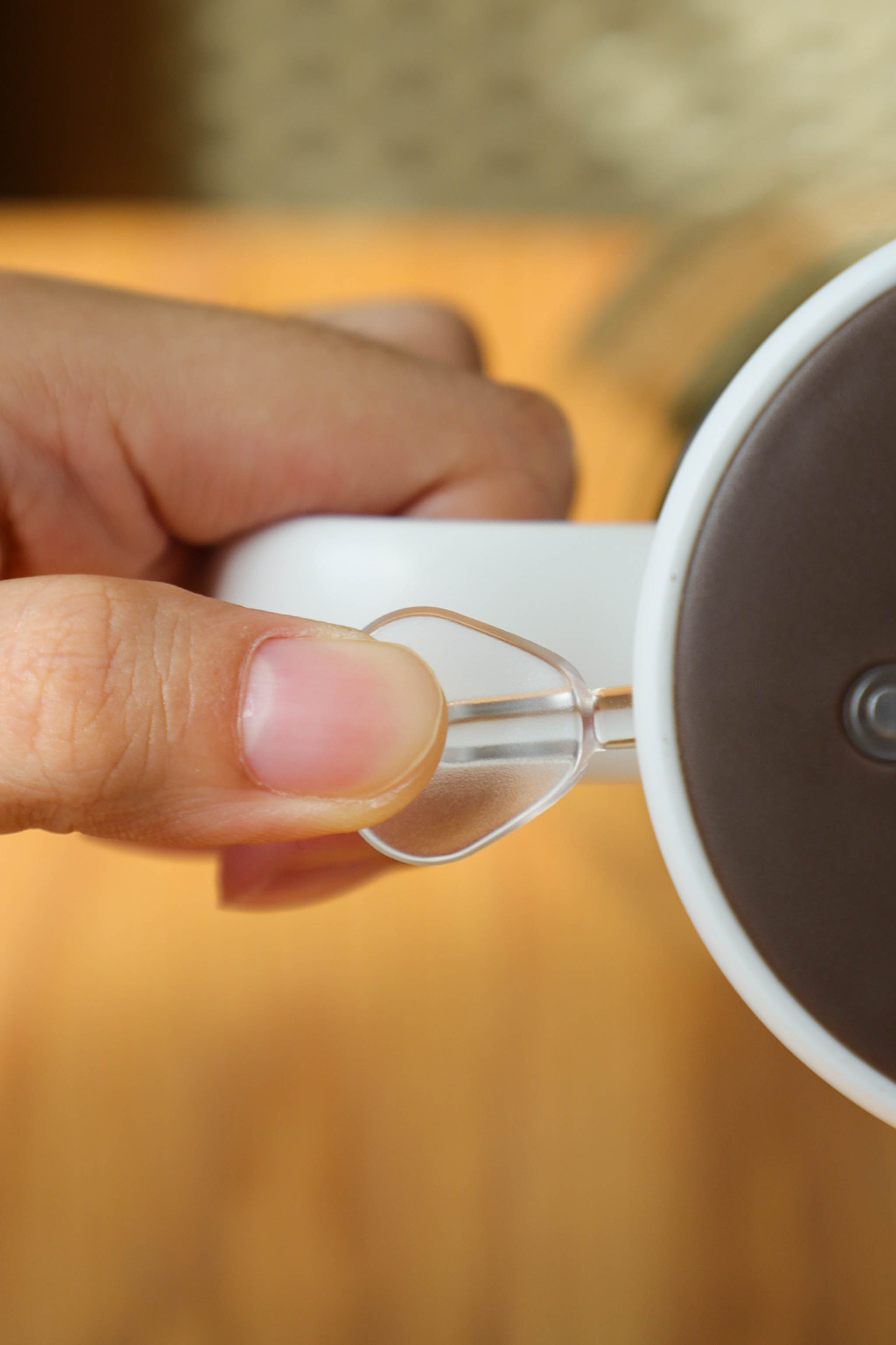 2-In-1 Oil Dispenser&Spray Bottle 