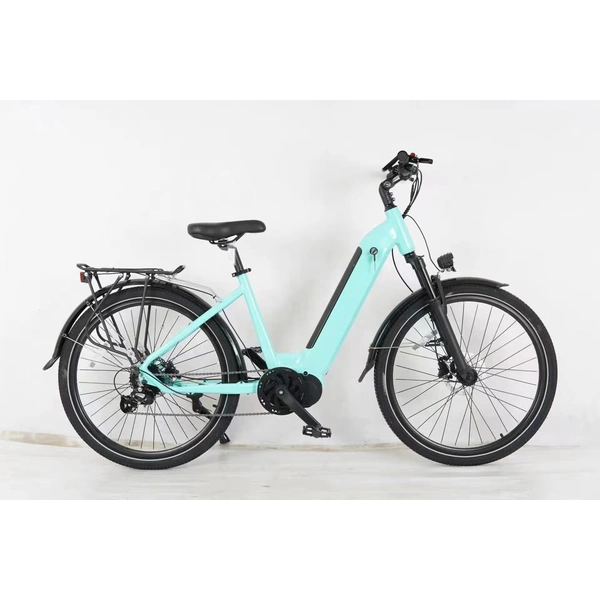 Electric Bike
