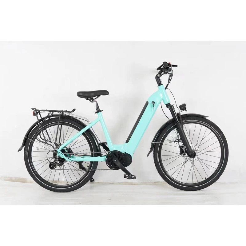 Electric Bike