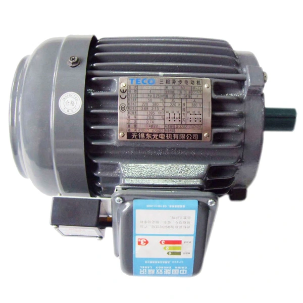 TECO brake motor