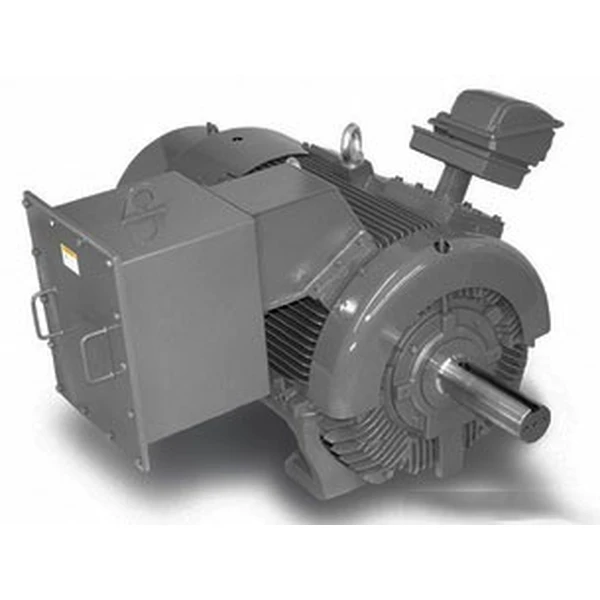 TECO fully enclosed cast iron casing motor