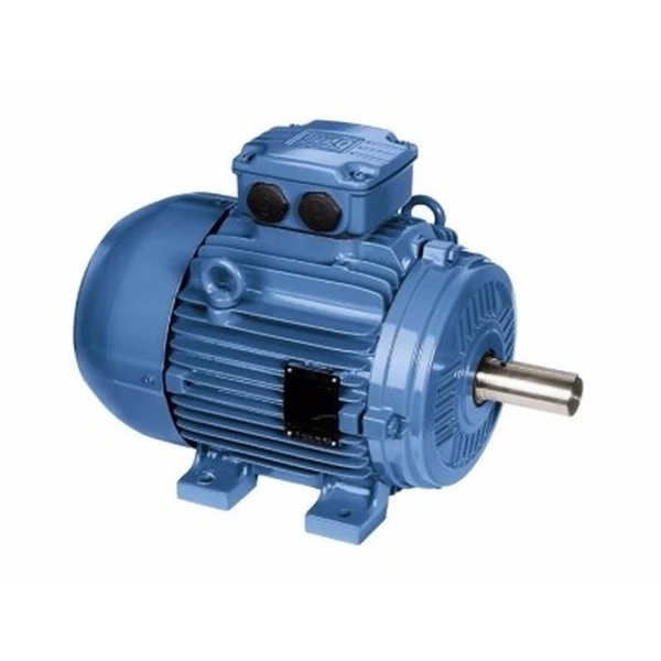 WEG Ex e Ex nA  motors