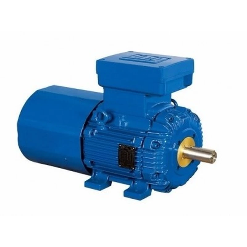 WEG Exd Breake Explosion Proof Motor