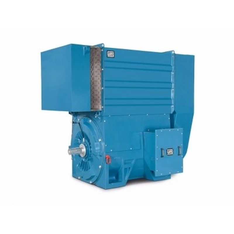 W60 Series three phase asynchronous Motor