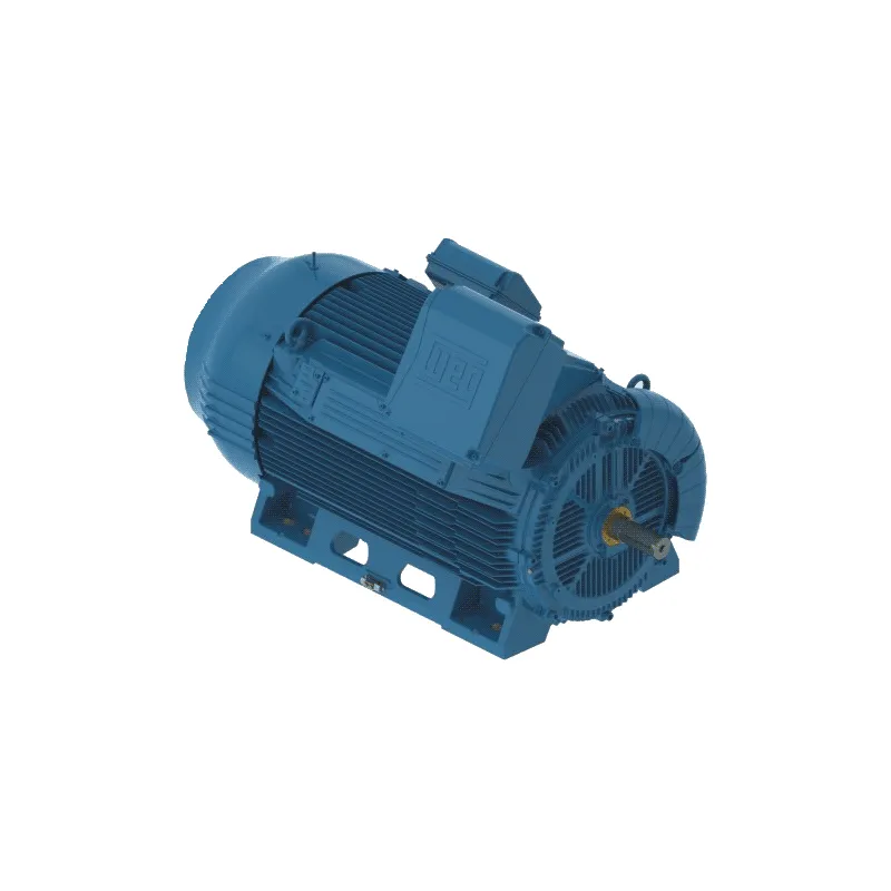 WEG W50 AC Heavy Duty Motor