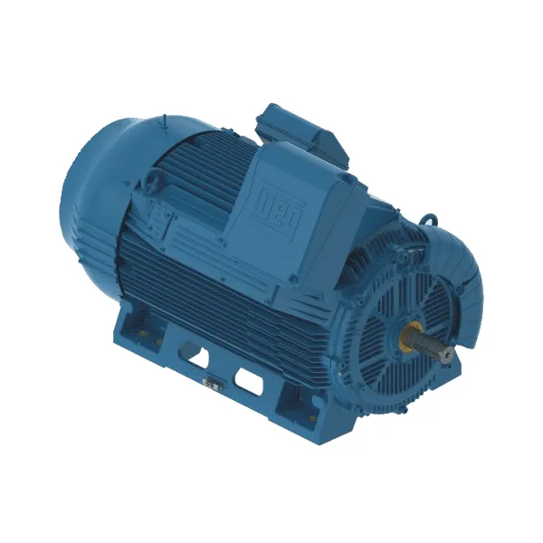 WEG W50 AC Heavy Duty Motor