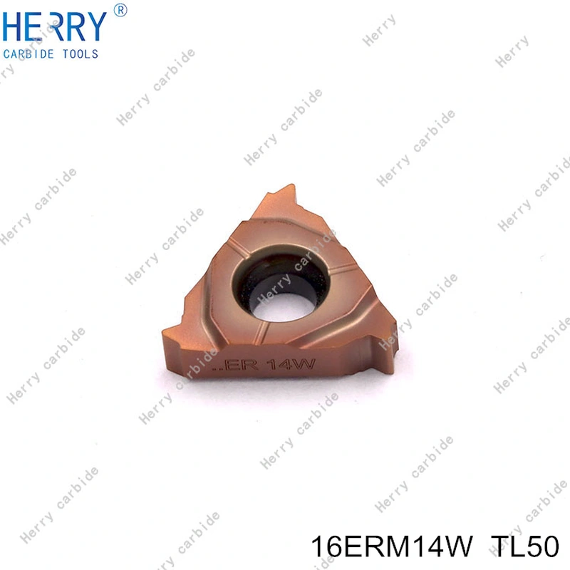 makine vidaları için sıcak satış 16erm14w karbür diş açma uçları