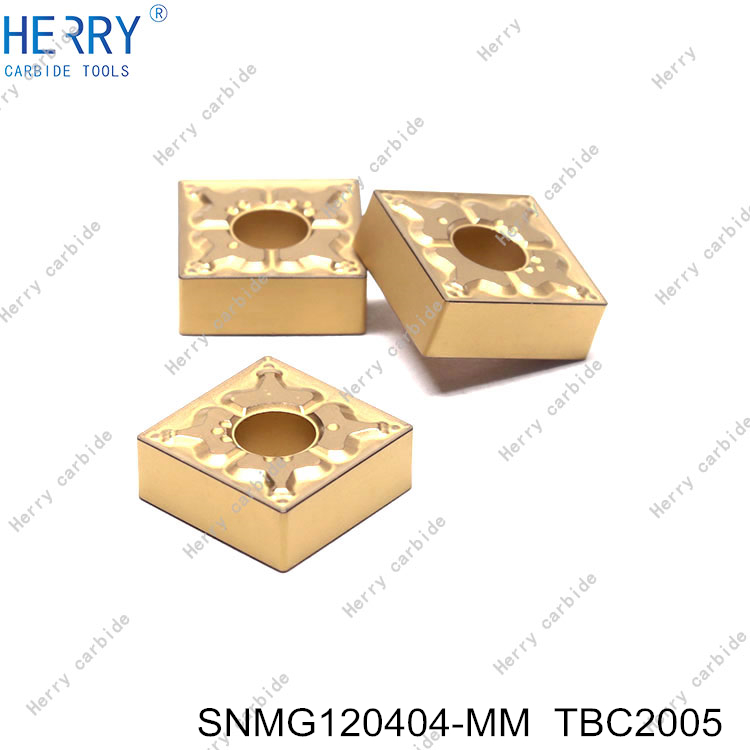SNMG120404-MM--TBC2005-(3).jpg