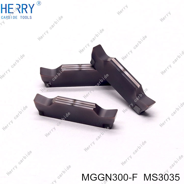 MGGN300-F--MS3035-(3).jpg