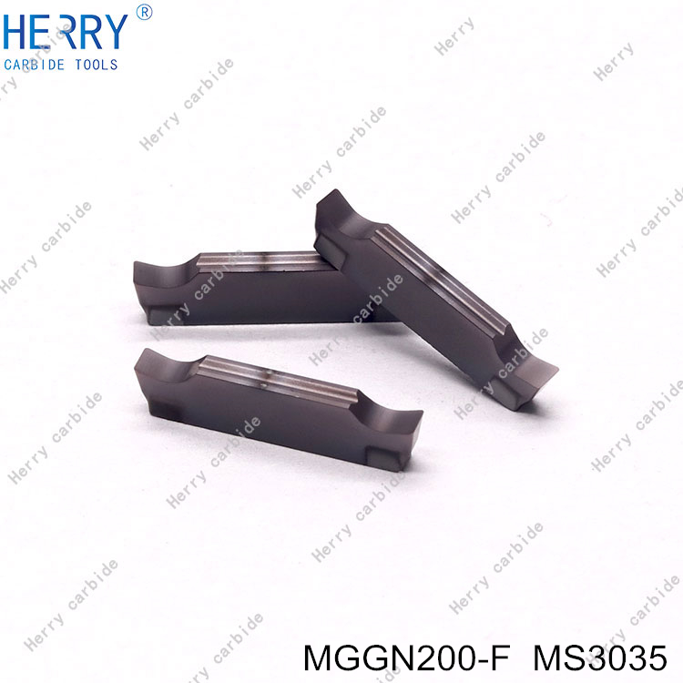 MGGN200-F--MS3035-(3).jpg