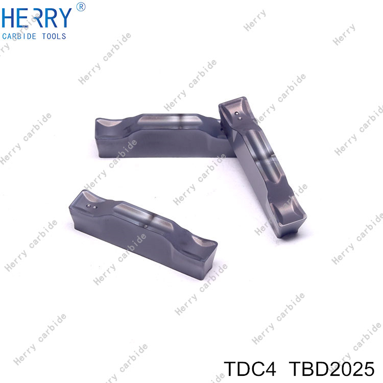 TDC4--TBD2025-(3).jpg