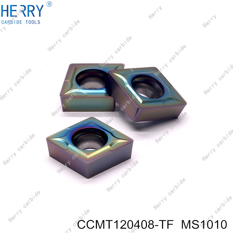 CCMT120408-TF--MS1010-(3).jpg
