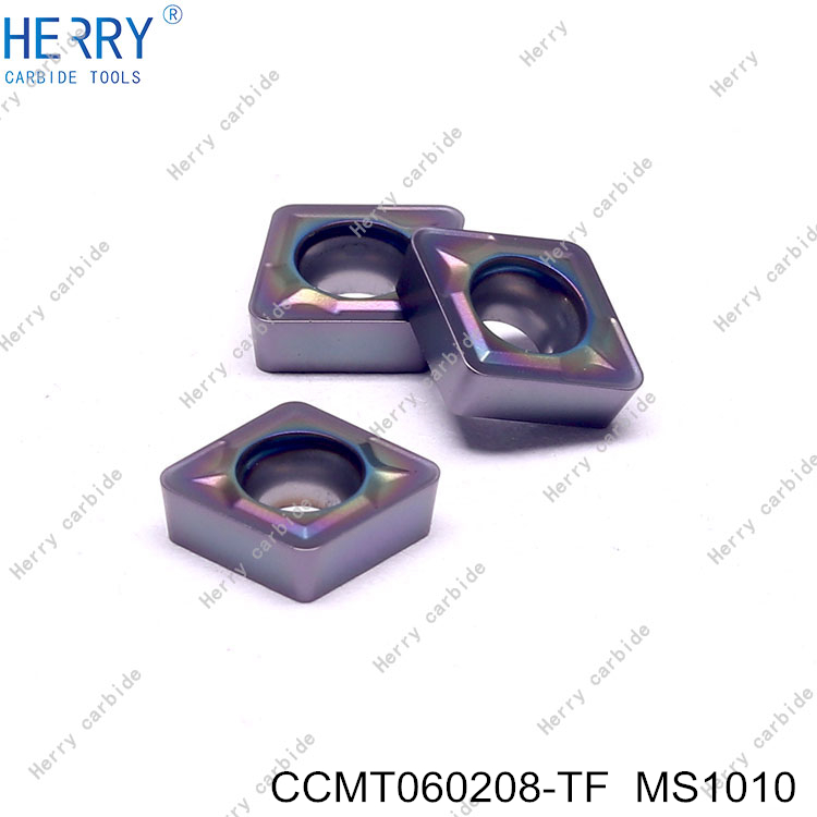 CCMT060208-TF--MS1010-(3).jpg