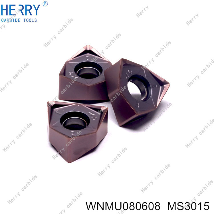 WNMU080608--MS3015-(3).jpg