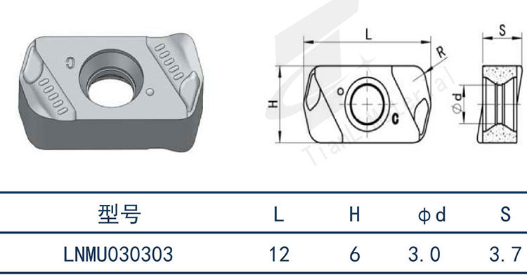 LNMU030303.jpg