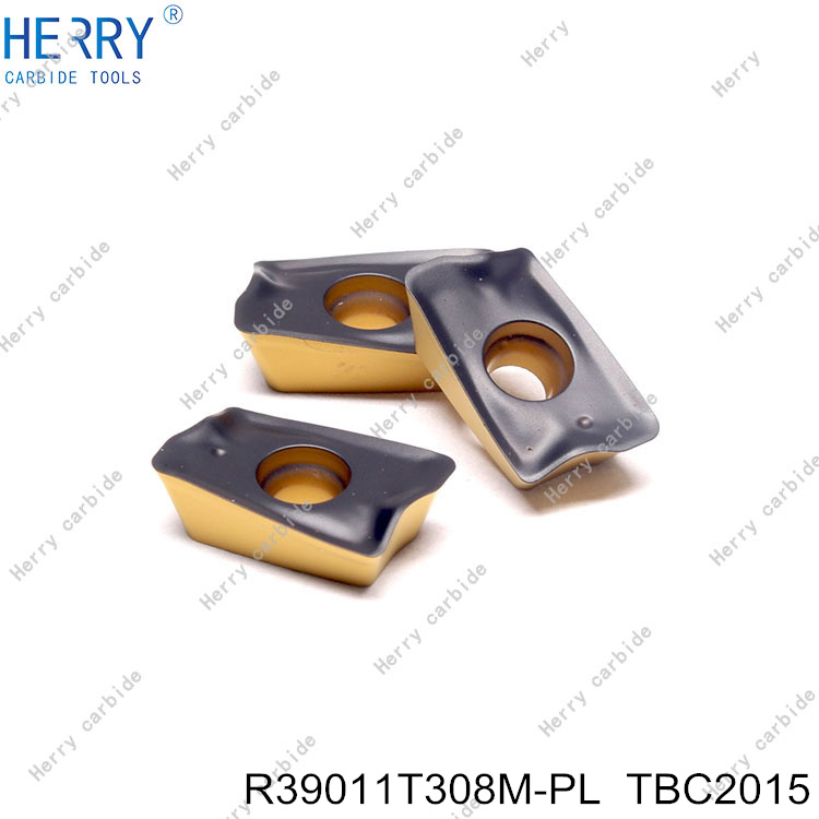 R39011T308M-PL--TBC2015-(3).jpg