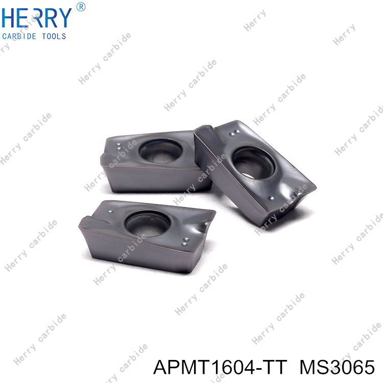 APMT1604-TT--MS3065-(3).jpg