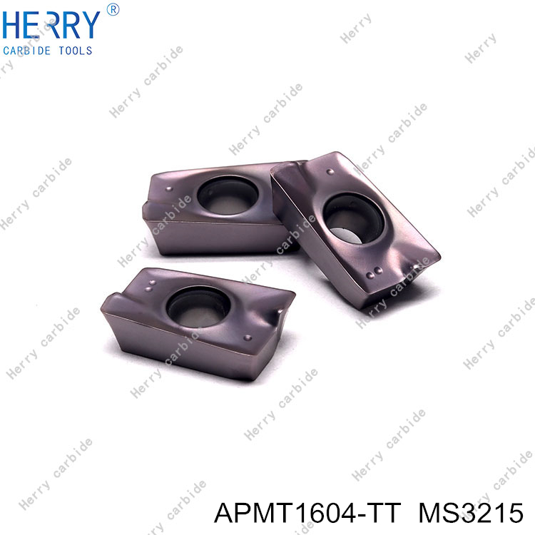 APMT1604-TT--MS3215-(3).jpg
