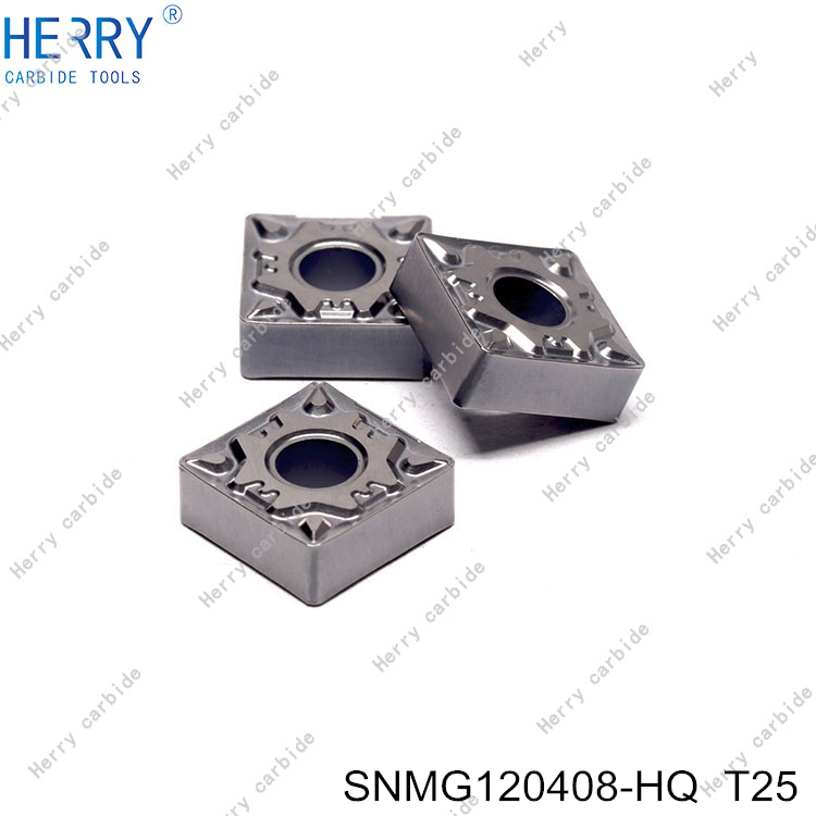 SNMG120408-HQ--T25-(3).jpg