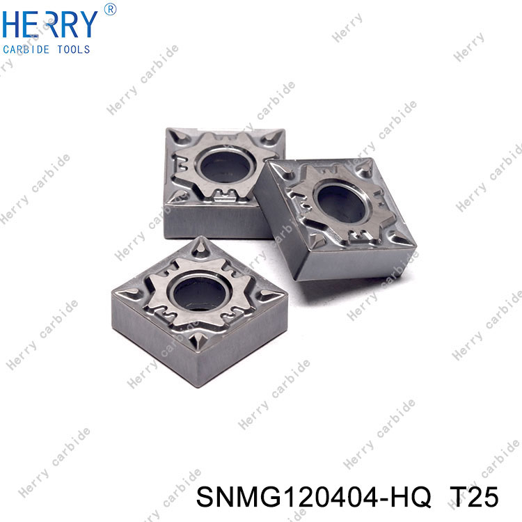 SNMG120404-HQ--T25-(3).jpg