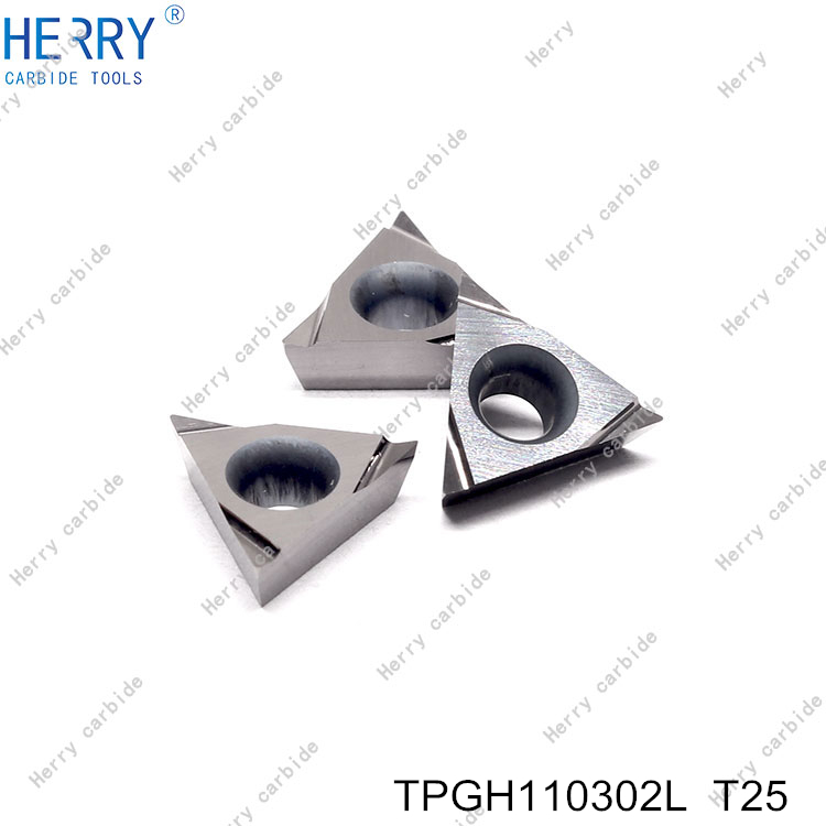TPGH110302L--T25-(4).jpg