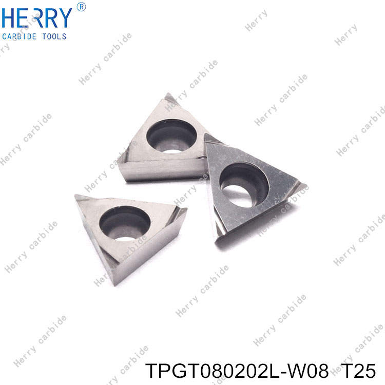 TPGT080202L-W08--T25-(3).jpg