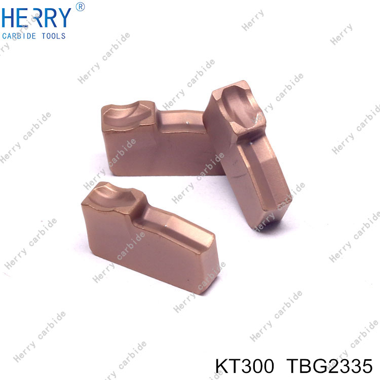 KT300--TBG2335-(3).jpg