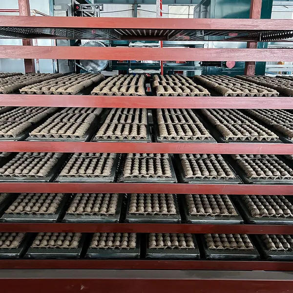 مصنع إنتاج علبة البيض