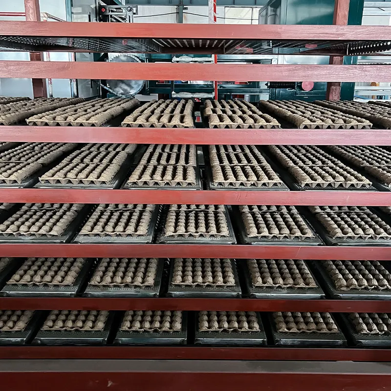 مصنع إنتاج علبة البيض