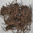 Sinopodophylum Hexandrum Extract