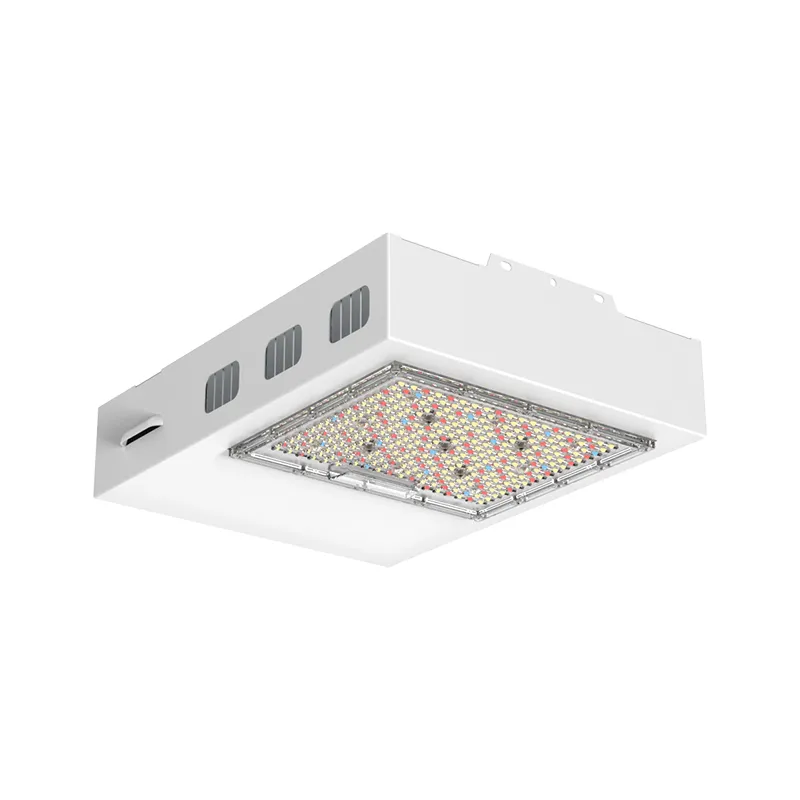 Remplacement 1:1 600w hps