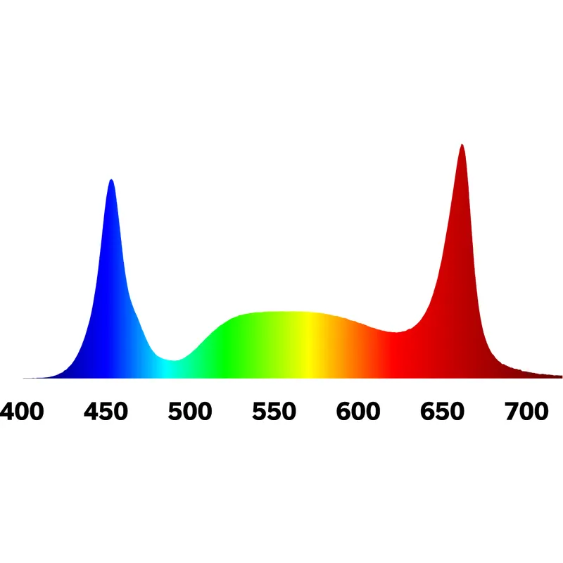 Remplacement 1:1 600w hps