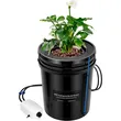 1 Bucket DWC Hydroponic Growing System