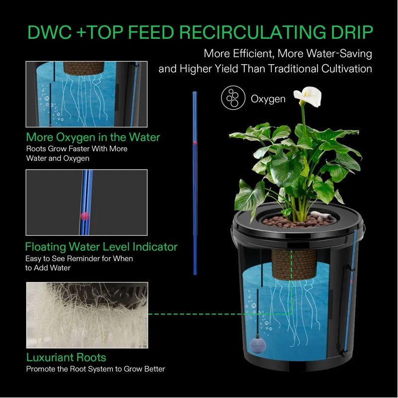 1 Bucket DWC Hydroponic Growing System
